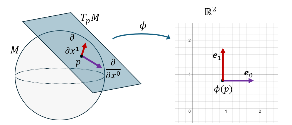 Espace tangent