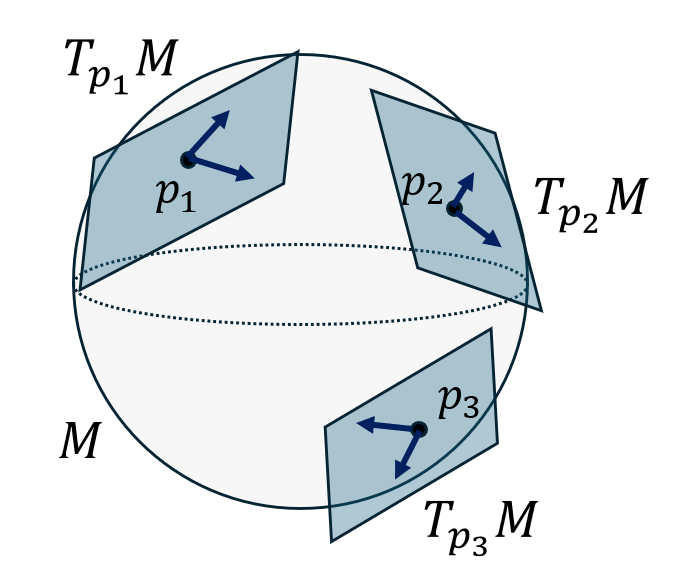 Fibré tangent
