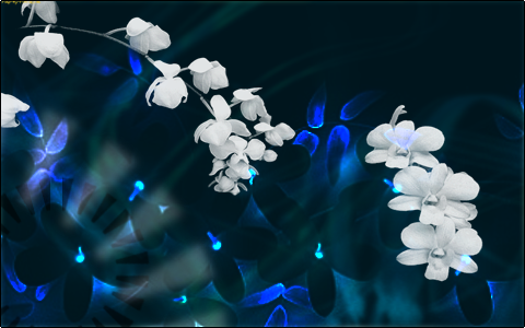 background.9.png